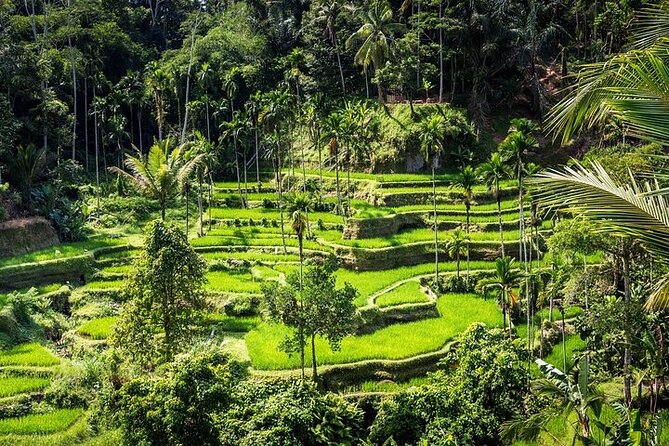 Top Ubud Attractions: Private Full-Day Guided Tour - Ubud Art Market in 30 minutes, how to shop smarter
