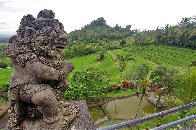 Tour: Besakih Temple-Kintamani Volcano-Water temple&Rice Terrace - Price and value: why $132 can be fair, or not, depending on your group
