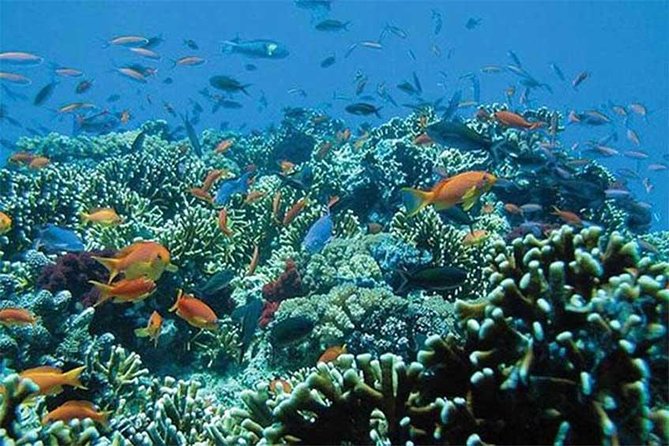 Tour Gate of Heaven at Lempuyang Temple - Blue Lagoon Snorkeling with lunch - Price and value: is $51 a good deal?