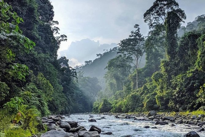 TOUR PACKAGE (jungle trekking, taxi, Room) 4 DAYS 3 NIGHTS in BUKIT LAWANG - Night Camping in the Rainforest: Provided Gear Means You Can Focus