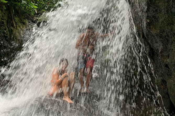 TOUR PACKAGE (jungle trekking, taxi, Room) 4 DAYS 3 NIGHTS in BUKIT LAWANG - Day 1 and Day 4: The Quiet Bookends That Keep the Trip Enjoyable