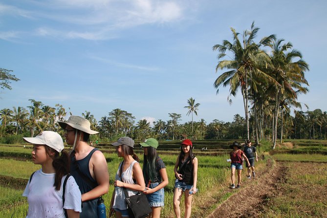 Trekking and Sightseeing tour with lunch - Ubud Trekking with a temple-and-rice rhythm