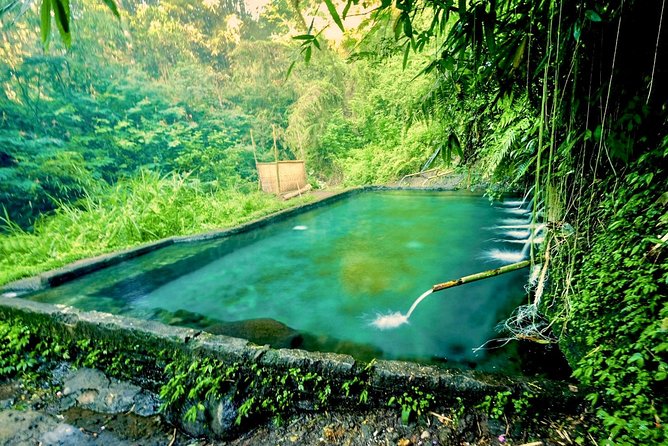 Trekking and Sightseeing tour with lunch - Coffee plantation and the swing over rice terraces (optional but memorable)