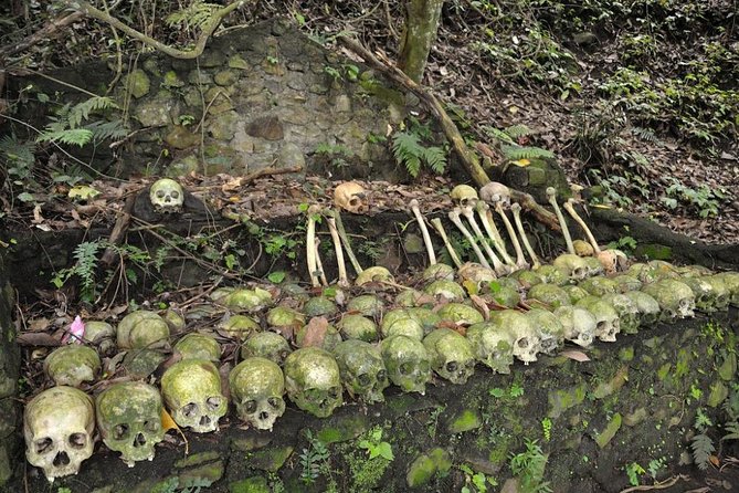 Trunyan Cemetery, Hot Spring, Penglipuran Village, and Waterfall Tour - Getting to the good stuff from Ubud, without wasting the day