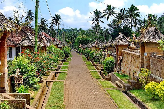 Trunyan Cemetery, Hot Spring, Penglipuran Village, and Waterfall Tour - Price and value: why $87 can feel fair here