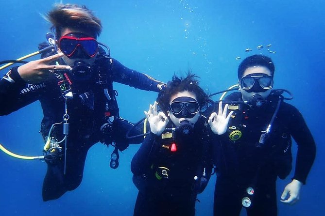 Try Diving in Manta Point - Nusa Penida - Sanur to Nusa Penida in about 6 hours, with a 9AM push