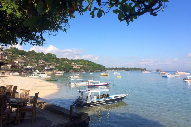 Try Diving in Nusa Lembongan - Penida. For beginners (with 2 ocean dives) - What you actually get for the money, not just the promise