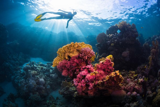 Try Freediving on Nusa Penida - The classroom block: how that first 90 minutes builds real confidence