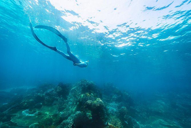 Try Freediving on Nusa Penida - Safety that comes from small groups and close instructor attention