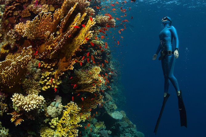 Try Freediving on Nusa Penida - Price and value: what $150 buys, and where you might spend extra