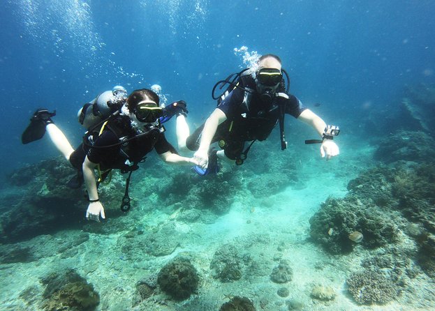 Try Scuba Diving at Padang Bai - The all-day schedule, from pickup to feeling human again