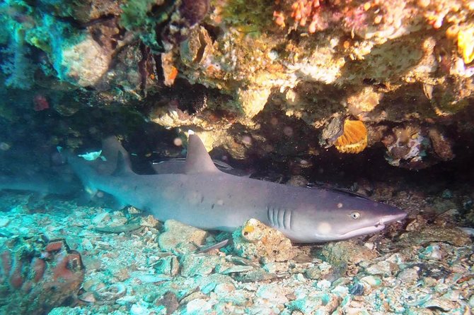 Try Scuba Diving at Padang Bai - What the beginner package really means for your body and mind