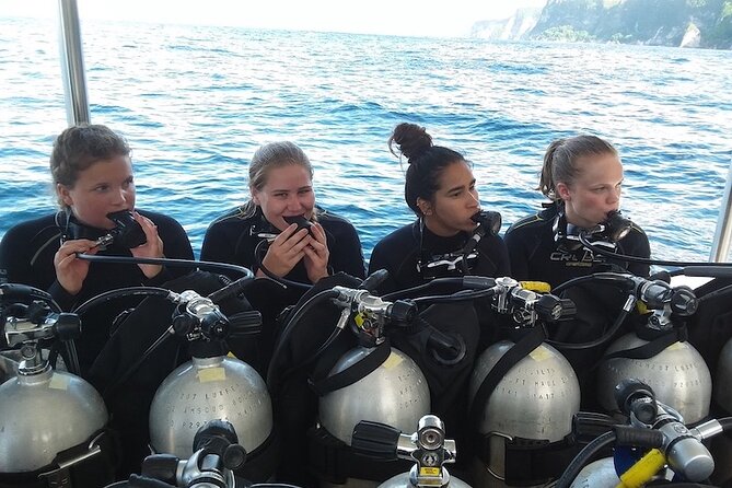 Try Scuba Diving for Beginners with manta rays (Non - Certified) - Key highlights at a glance