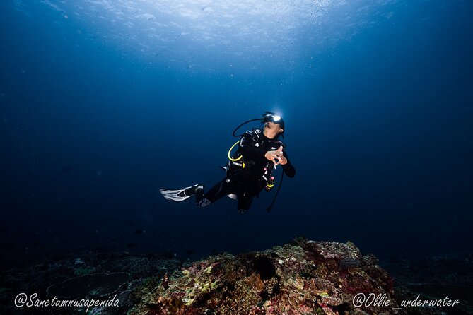 Try Scuba Diving for Beginners with manta rays (Non - Certified) - Price and what you actually get for about $122