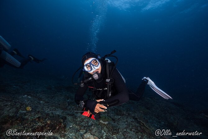 Try Scuba Diving for Beginners with manta rays (Non - Certified) - Your morning at the meeting point and the 45-minute pool session