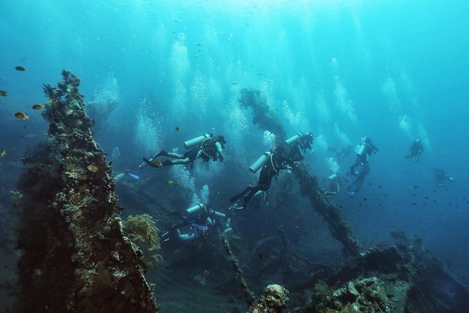 Tulamben Diving Tour Shipwreck USS Bali - Tulamben and the USS Liberty shipwreck: the real draw