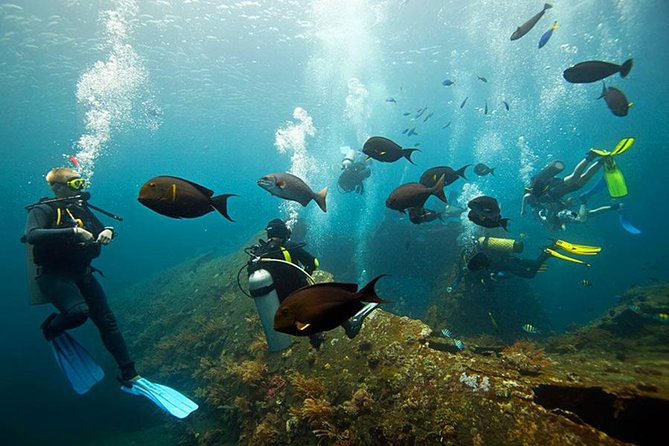 Tulamben Diving Tour Shipwreck USS Bali - The flow of the day: from briefing to two timed underwater sessions