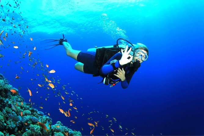 Tulamben Diving Tour Shipwreck USS Bali - Your guides and what to expect from the people on the day