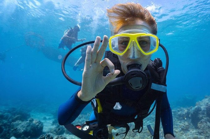 Tulamben Diving Tour Shipwreck USS Bali - Lunch in Bali: what’s included and how it fits the schedule