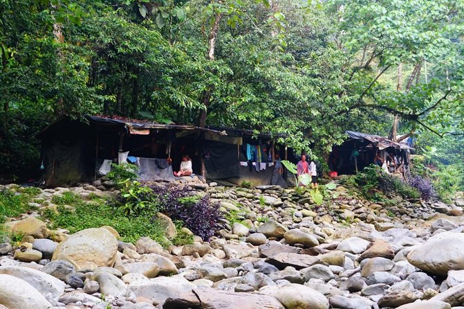 Two days orangutans adventure in Gunung Leuser - Who This Tour Fits Best