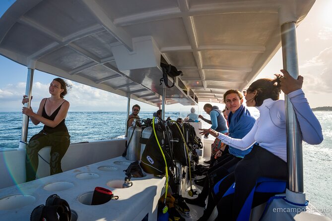 Two fun dives morning trip (Certified Divers only) - What the “2-tank morning” format gets right for most people