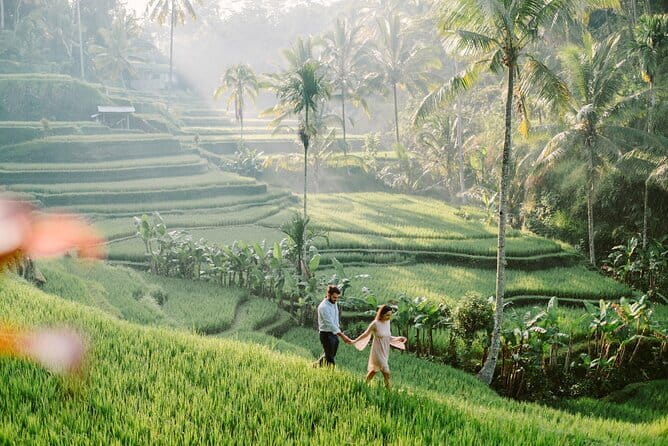 Ubud 1 Day Tour (Private & All-Inclusive) - Price and what $48.61 covers for a private, all-inclusive day
