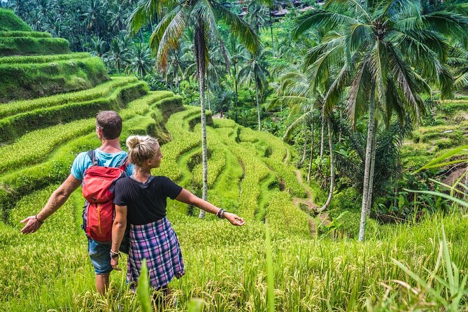 Ubud Adventure All Inclusive Private Day Tour - Tegalalang Rice Terrace: subak irrigation and classic Ubud views