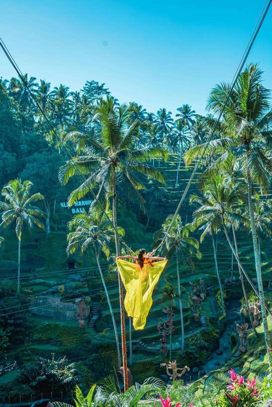 Ubud: Alas Harum Day-Pass, Swing, Sky Bike & Flying Fox - Coffee Tour Value: Learning Coffee Agriculture and Getting a Coffee Break