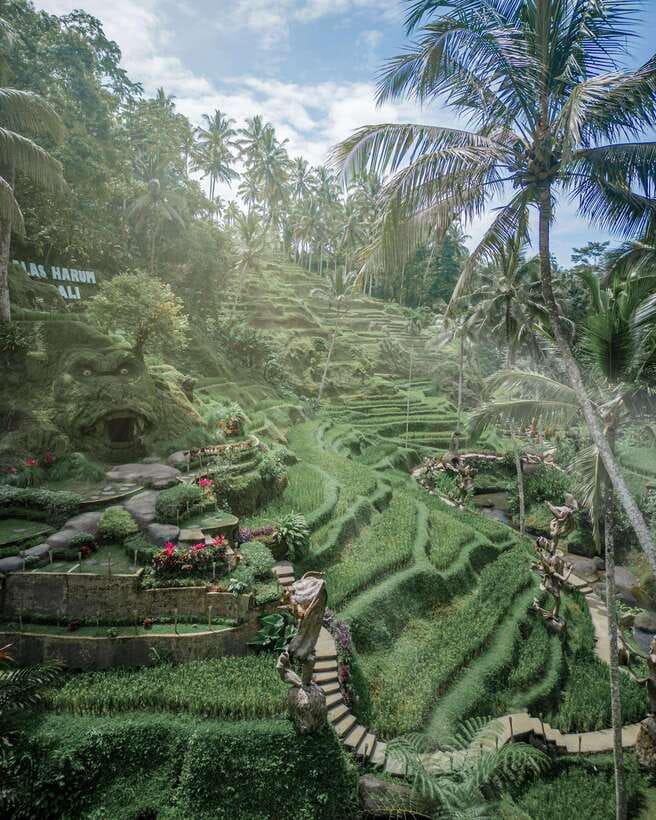 Ubud: Alas Harum Day-Pass, Swing, Sky Bike & Flying Fox - Sky Bike on a Cable: Pedaling 15 Meters Above the Grounds