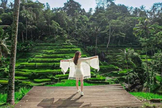 Ubud All-Inclusive Private Guide Tour - Sacred Monkey Forest Sanctuary: 700 macaques and real “watch your stuff” energy
