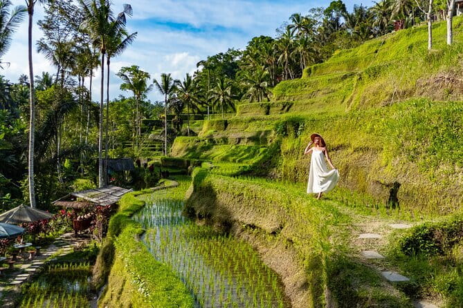 Ubud All-Inclusive Tour with Swing and Lunch - Key things that make this Ubud tour worth your time