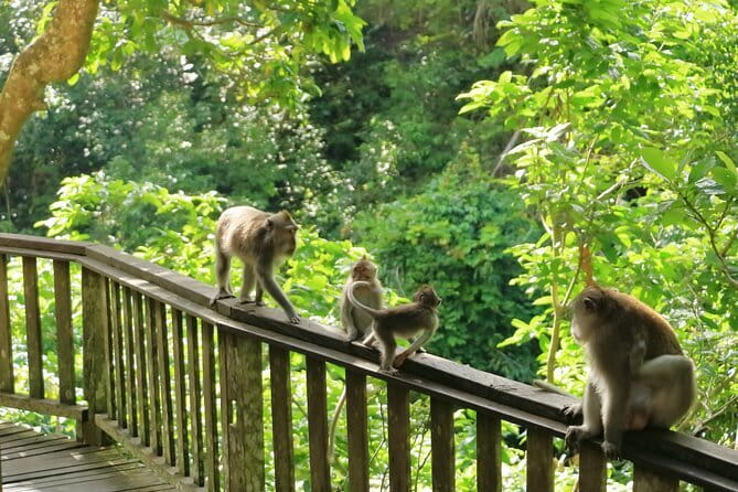 Ubud All-Inclusive Tour with Swing and Lunch - Tirta Empul Temple, purification at a sacred natural spring