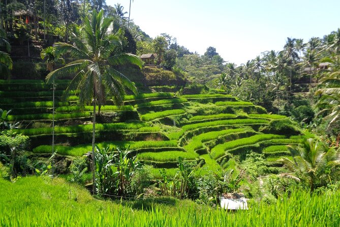 Ubud ATV ride Adventure and water rafting - Group setup: private for your party, but minimum 2 people matters