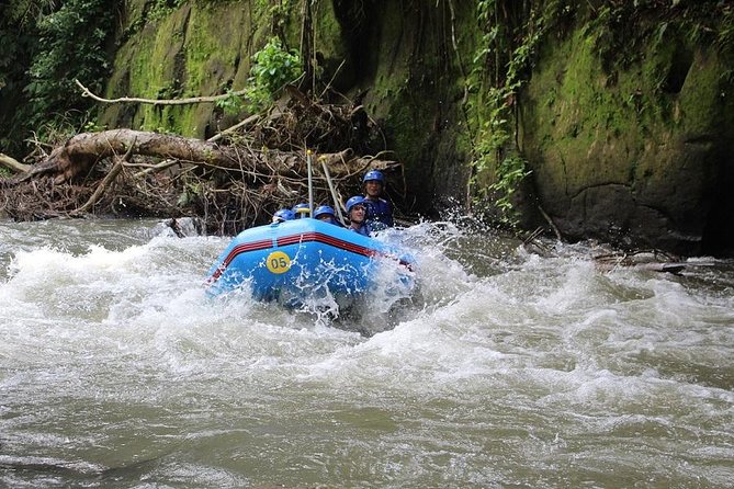 Ubud Ayung Water Rafting included Lunch and Transfer - Lunch after rafting: buffet food, rice-field vibes, and timing