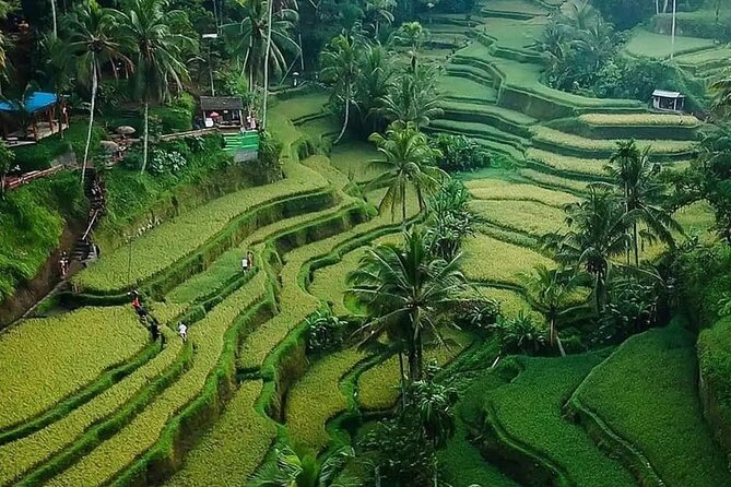 Ubud Bali Driver ( Bali Custom Tour ) - Who this Bali custom driver day is best for