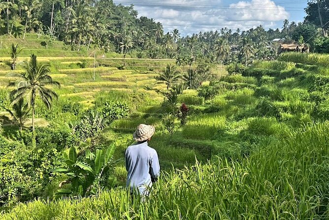 Ubud Bali Driver - Private Driver in Ubud - The driver experience: more than just a car key in your hand