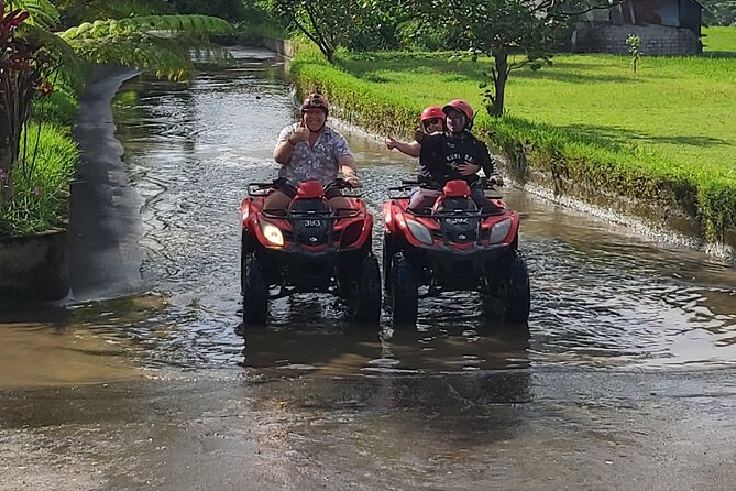 Ubud Bali Driver - Private Driver in Ubud - Stop-by-stop: Tibumana Waterfall views, with a bit more time