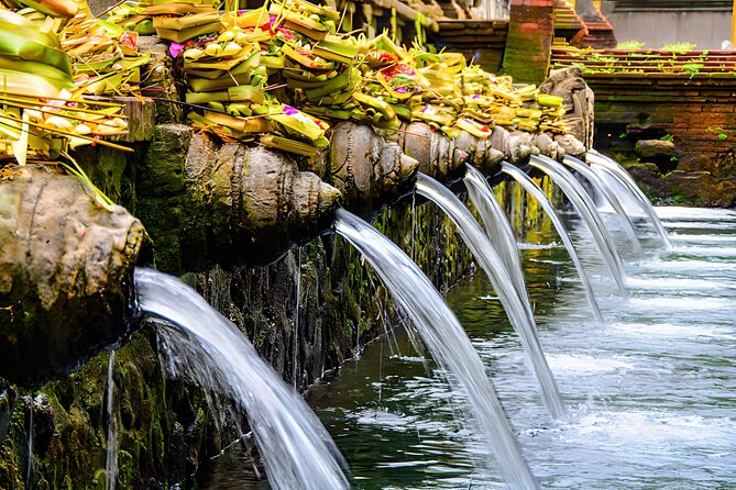 Ubud Bali: Rice Terrace, Waterfall and Tirta empul Day Tour - Getting to Ubud from Seminyak without the stress