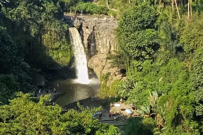 Ubud Best Tour - Price and what it really includes for $75 per group