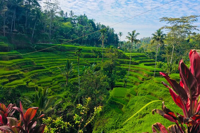 Ubud Best Tour - Stop 1: Tegenungan Waterfall for a quick Bali reset
