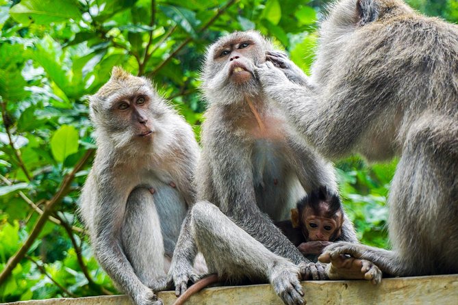 Ubud Best Tour - Pickup, timing, and how your day stays on track