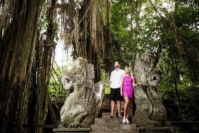 Ubud City Tour II: Monkey Forest, Palace, Art Market, and Rice Terrace - Tegalalang Rice Terrace viewpoints and the optional trek donation