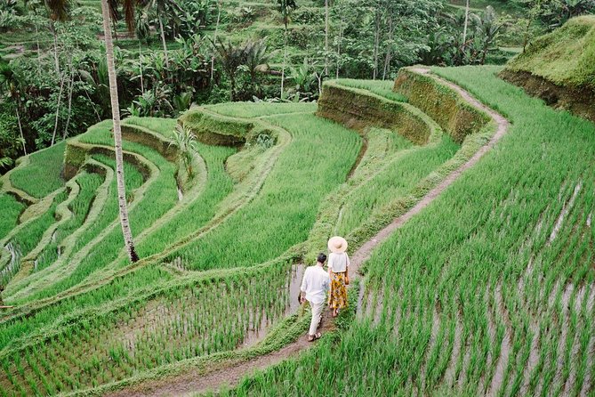 Ubud City Tour II: Monkey Forest, Palace, Art Market, and Rice Terrace - How to make the most of an 8-hour half-day plan