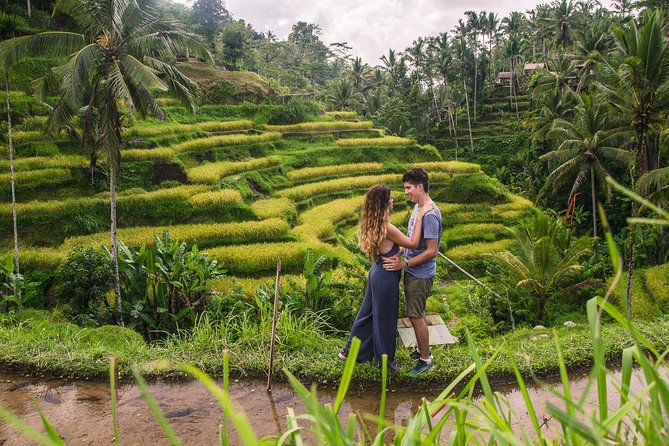Ubud City Tour II: Monkey Forest, Palace, Art Market, and Rice Terrace - Ubud Palace in 15 Minutes, what to realistically expect