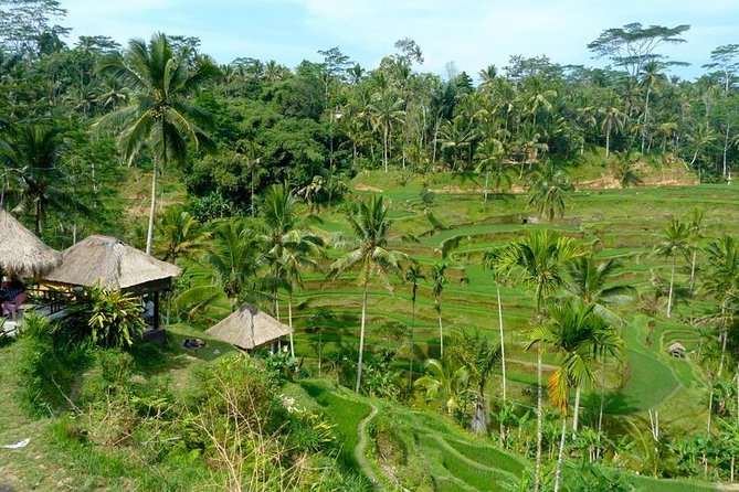 Ubud Combine Mount Batur Kintamani Tour - Stop 4: Mount Batur in Kintamani, Lake Views Without the Climb