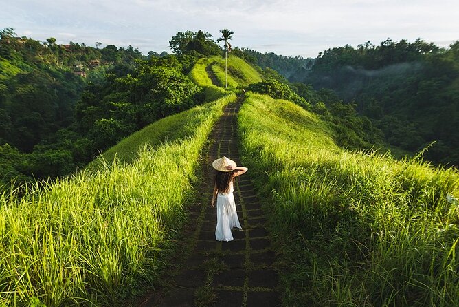 Ubud Countryside Tour: Campuhan Ridge Walk and Rice Terrace - Key Points You’ll Care About