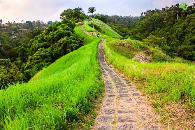 Ubud Countryside Tour: Campuhan Ridge Walk and Rice Terrace - A 7-Hour Ubud Circuit That Hits the Big Priorities