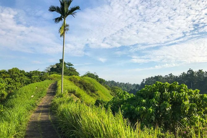 Ubud Countryside Tour: Campuhan Ridge Walk and Rice Terrace - Starting at 9:00 am, Staying on Track, and Not Losing Half the Day