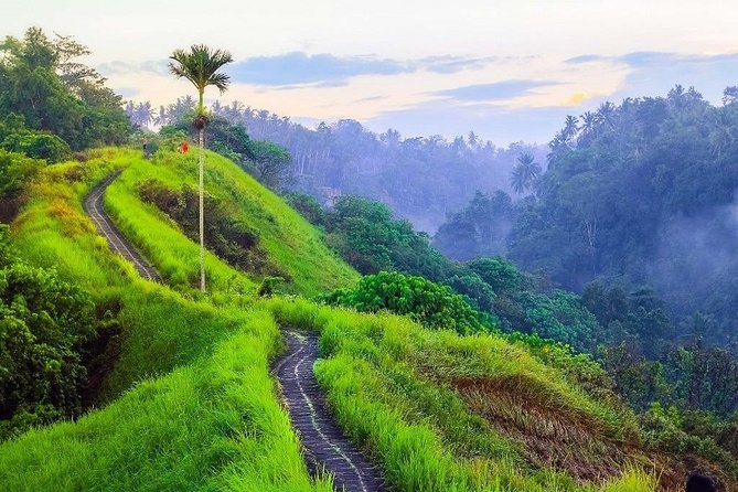 Ubud Countryside Tour: Campuhan Ridge Walk and Rice Terrace - Pickup, Private Group, and the Comfort of a Real Local Driver