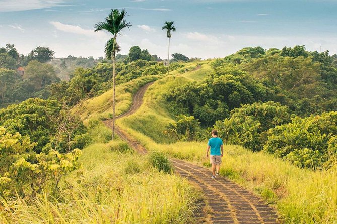 Ubud Countryside Tour: Campuhan Ridge Walk and Rice Terrace - Campuhan Ridge Walk: The Easy-Stroll Ubud Reset